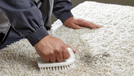 Professional Rug Cleaning Maude